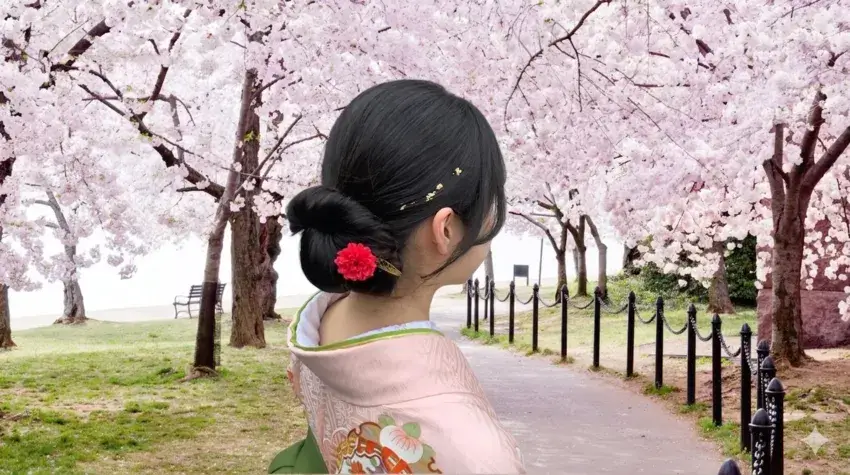 2026年大学院の卒業式用シニヨンスタイル